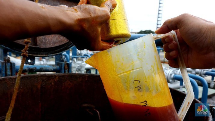 bongkar-muat-minyak-crude-palm-oil-cpo-cnbc-indonesiatri-susilo-5_169.jpg